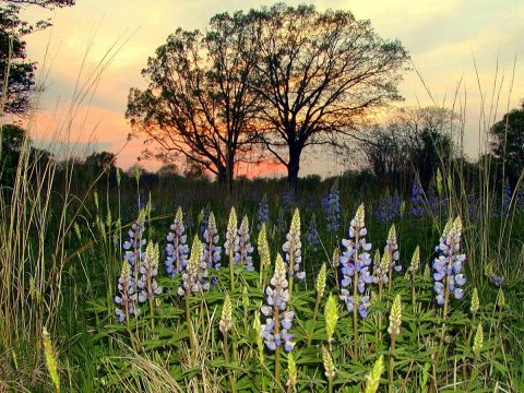 The Rouge Park Mountain Bike Trail Will Show You A Completely New Side Of Detroit