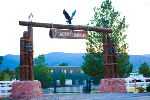 One Of The Best Campgrounds For Families, Jackpot Ranch In Arizona Boasts A Playground, Tree House, And Petting Zoo