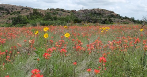 Follow The Crab Eyes Trail In Oklahoma For A Truly Magical Spring Season