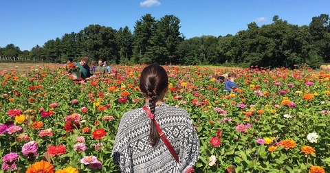 A Colorful U-Pick Flower Farm, Parlee Farms In Massachusetts Is Like Something From A Dream