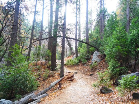 This Southern California Heart-Shaped Rock Is So Hidden, Almost Nobody Has Seen It In Person