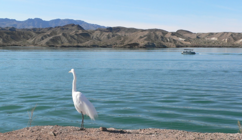 Arizona Is Home To Dive Site 5, A Little-Known Scuba Diving Park