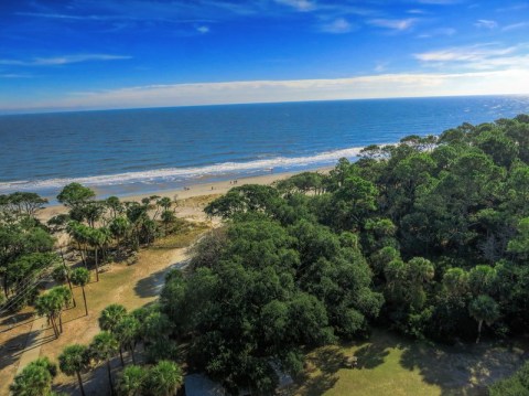 After Exploring The Trails, Look For Hummingbirds At Hunting Island State Park In South Carolina