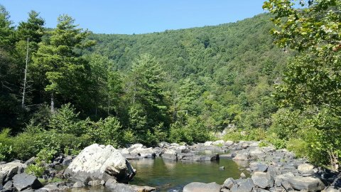 Enjoy Cool, Crisp Water When You Take A Dip In The Goshen Pass Swimming Pools In Virginia