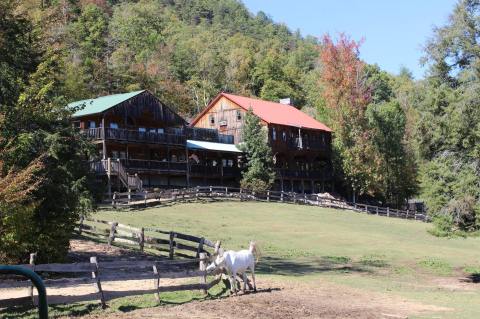 This Equestrian-Centric Resort In Tennessee Features Unique Lodging And Awesome Grub