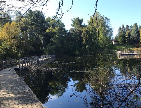 3 Detroit Nature Centers That Make Excellent Family Day Trip Destinations