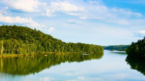 Once The Largest Man-Made Lake In The World, Alabama's Lake Martin Was A True Feat Of Engineering