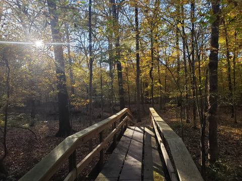 Few People Know There’s An Aviary Hidden In The Walter B Jacobs Memorial Park In Louisiana