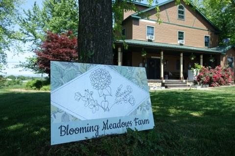 A Colorful U-Pick Flower Farm, Blooming Meadows Farm In Pennsylvania Is Like Something From A Dream