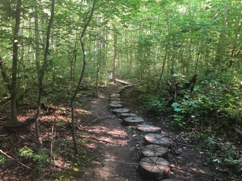 With Waterfalls And Boardwalks, The Little-Known Moncacy Hill Trail In Pennsylvania Is Unexpectedly Magical