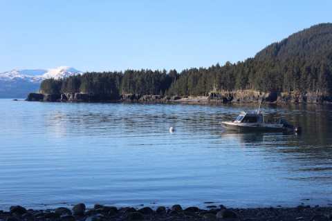 Sleep On A Remote Island When You Stay At This Tree House In Alaska