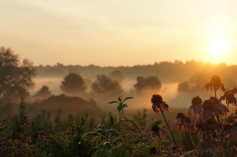 A Colorful U-Pick Flower Farm, Dame Farm & Orchard In Rhode Island Is Like Something From A Dream