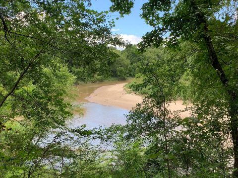 With River Views And A Rolling Terrain, The Little-Known Comite Park Trail In Louisiana Is Unexpectedly Magical