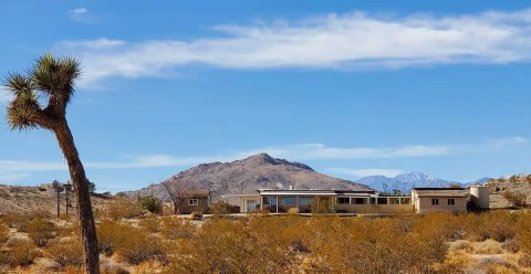 This Airbnb On A Tortoise Sanctuary In Southern California Is One Of The Coolest Places To Spend The Night