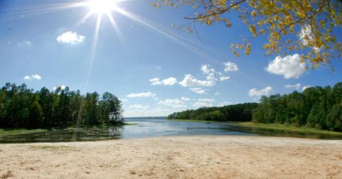 If You Didn’t Know About These 8 Swimming Holes In Louisiana, They’re A Must Visit