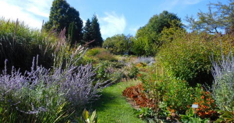 This Beautiful 15-Acre Botanical Garden In Massachusetts Is A Sight To Be Seen