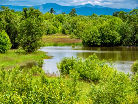 This Oregon Island Is One Of The Largest River Islands In The Country, And It's The Ultimate Nature Playground