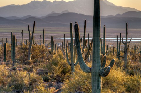 7 Natural Wonders Unique To The Grand Canyon State That Should Be On Everyone's Arizona Bucket List