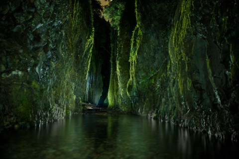 With Stream Crossings and Waterfalls, The Little-Known Oneonta Gorge Trail Is Unexpectedly Magical