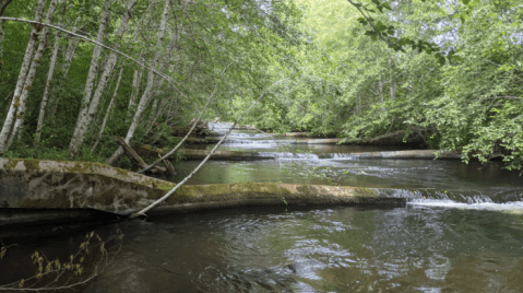 3 Scenic Hiking Trails Surround The Small Town Of Shelton, Washington