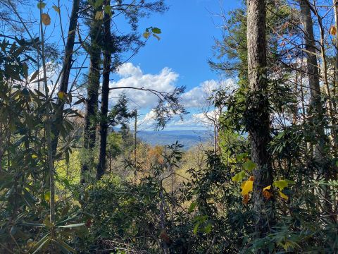 Few People Know There’s A Magical Grotto Hidden In The Great Smoky Mountains In Tennessee