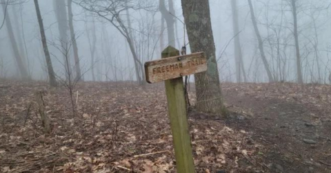 With Stream Crossings And Wildflowers, The Little-Known Jarrard Gap Trail In Georgia Is Unexpectedly Magical