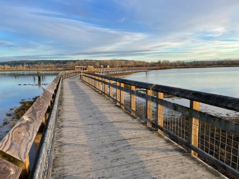 2 Washington Nature Centers That Make Excellent Family Day Trip Destinations