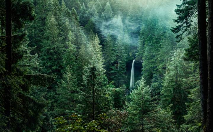 Trail of Ten Falls Oregon