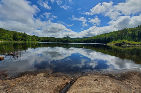 With Wildflowers And Mountain Views, The Little-Known Clear Pond Trail In New York Is Unexpectedly Magical