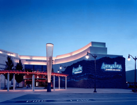 Dine With The Fishes At This One-Of-A-Kind Aquarium Restaurant In Tennessee