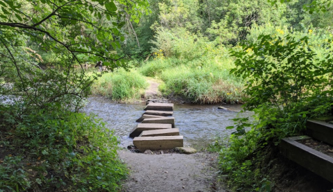 With River Crossings and Wildflowers, The Little-Known Wildflower Trail In Minnesota Is Unexpectedly Magical