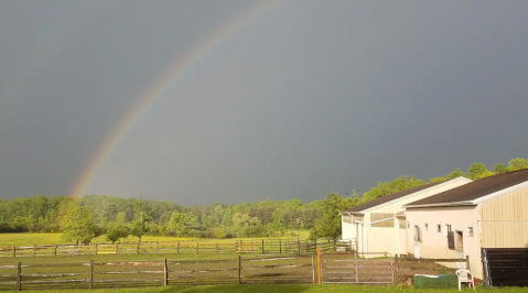 This Airbnb On A Horse Sanctuary In Ohio Is One Of The Coolest Places To Spend The Night