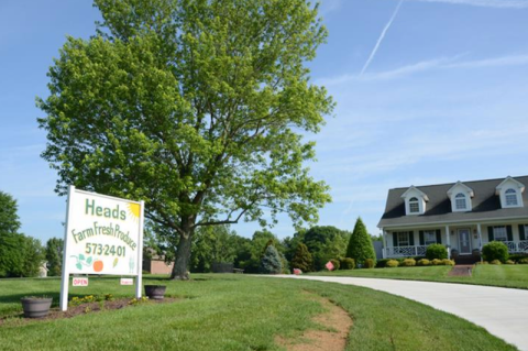 Pick Your Own Strawberries At This Charming Farm Hiding Near Nashville