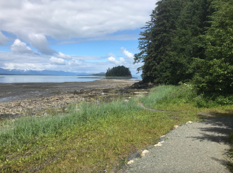 The Outer Point Loop Trail In Alaska Takes You To The Beach And Back