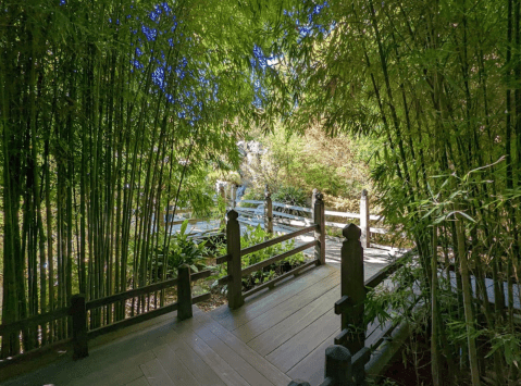 This Family-Friendly Park In Southern California Has A Library, Art Museum, Botanical Gardens, And More