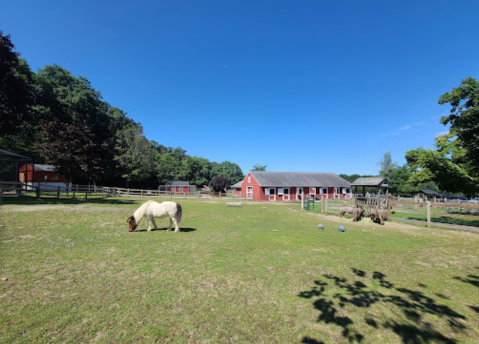 This Family-Friendly Park In Massachusetts Has A Farm, A Lake, A Playground, And More