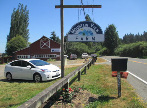 Visiting Washington's Upcoming Sunflower Festival In Snohomish Is A Great Summer Activity