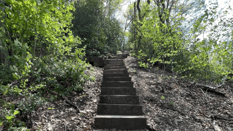 Take This Beautiful Trail To An Amazing Double Waterfall In Virginia