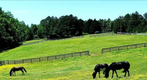 This Loft Home On A Rolling Horse Farm In North Carolina Is One Of The Coolest Places To Spend The Night