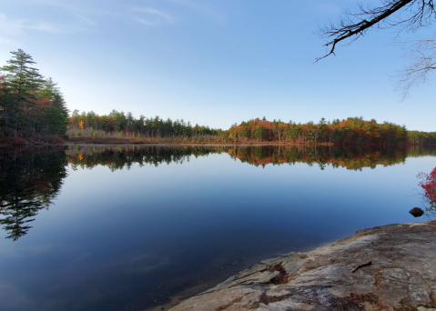 Here Are 5 Of The Most Refreshing Waterfront Trails You Can Take In New Hampshire