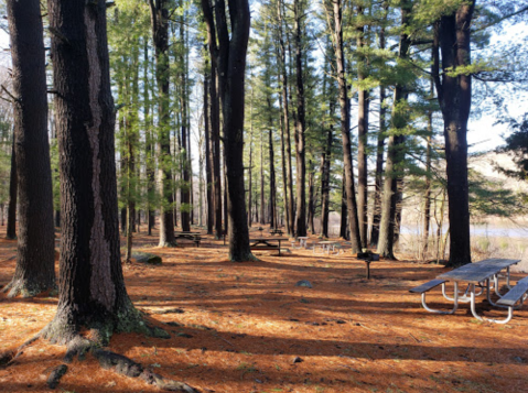 This Family-Friendly Park In Connecticut Has Areas For Hiking, Swimming, Fishing, And More