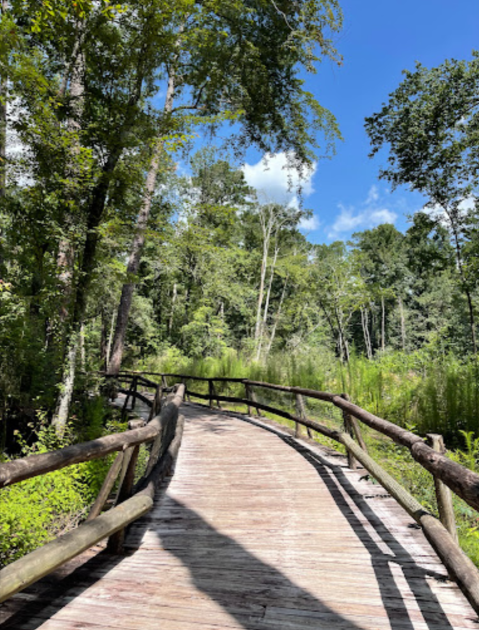 This Zoo In Georgia Is Also A Park And It's Fun For The Whole Family