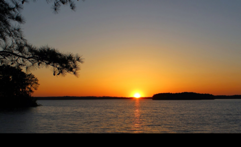 This State Park In South Carolina Is So Little Known, You'll Practically Have It All To Yourself