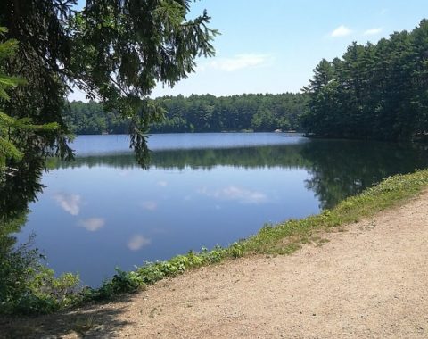 There's Something Magical About These 12 Massachusetts Lakes