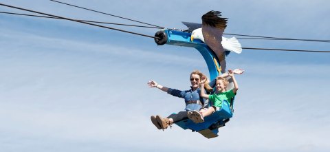 You Can Fly Like An Eagle On This Epic Colorado Zip Line