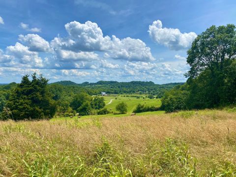 Preservation Park Outside of Nashville Is A Beautifully Brilliant Green