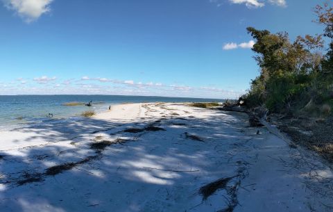 This Family-Friendly Nature Preserve In South Carolina Has A Hiking Trails, A Rookery, A Hike-In Beach, And More