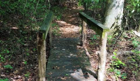 With Stream Crossings and Footbridges, The Little-Known Three Bridges Loop In Maryland Is Unexpectedly Magical