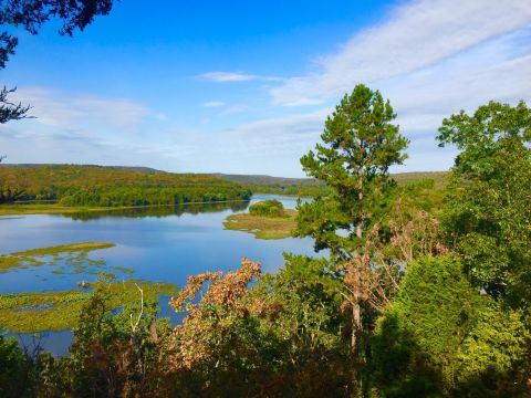 With Whimsical Trees And Mysterious Rock Formations, The Little-Known Lee Creek Reservoir In Arkansas Is Unexpectedly Magical