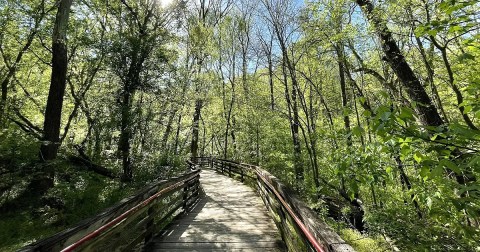 7 Easy And Beautiful Spring Hikes Everyone In Georgia Will Love